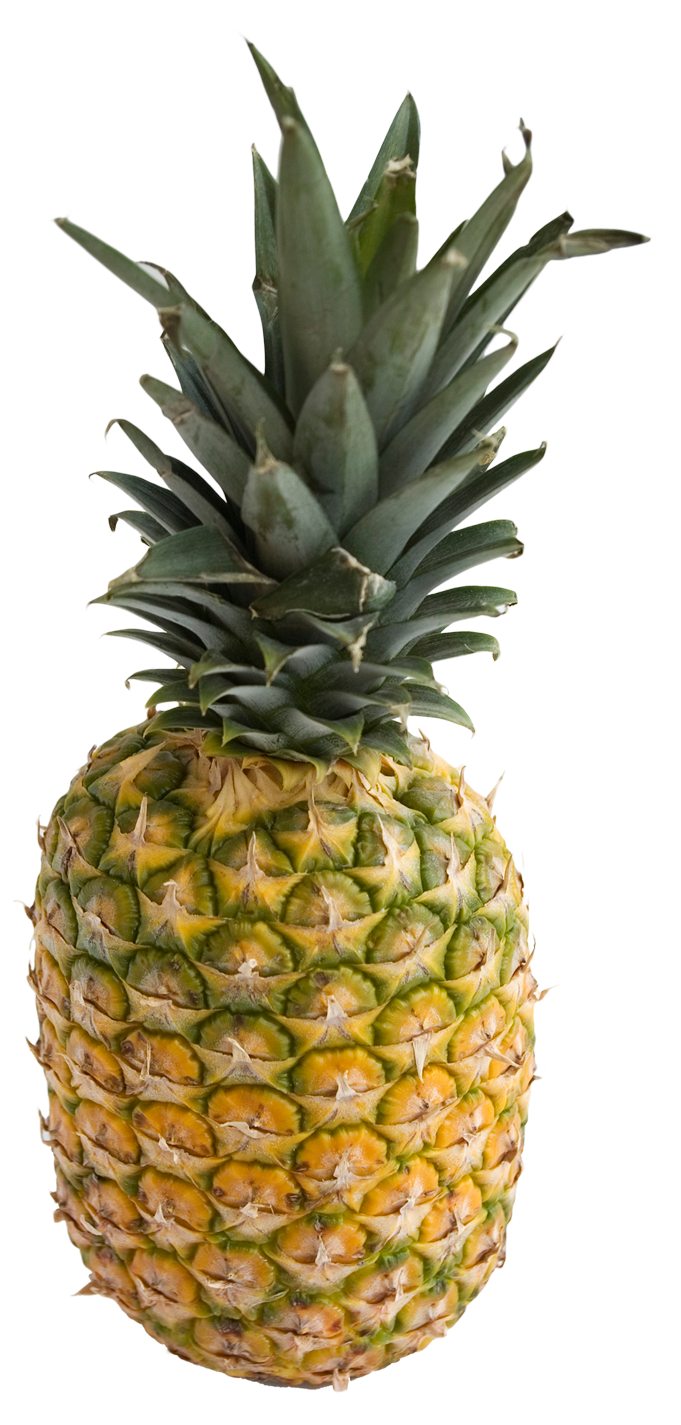 Fresh Pineapple Standing Isolated.png PNG image