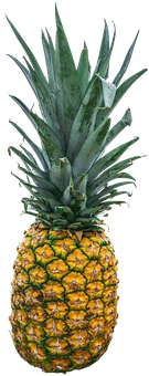 Fresh Pineappleon Black Background.jpg PNG image