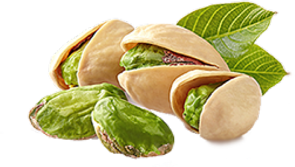 Fresh Pistachios With Leaves.png PNG image