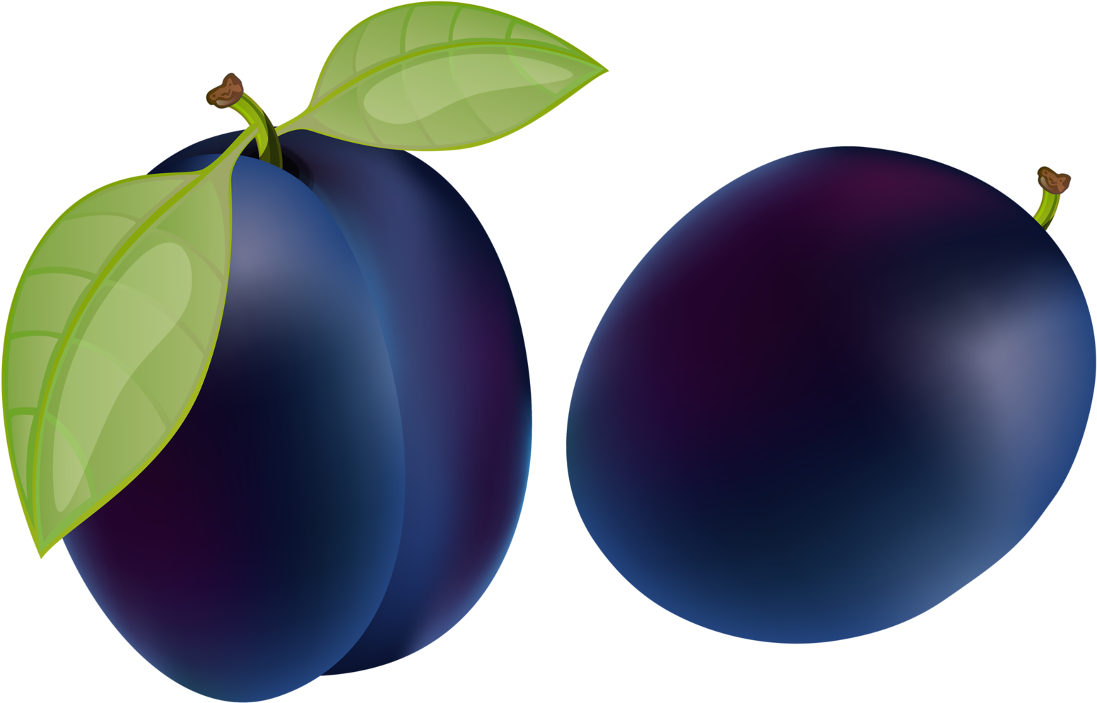 Fresh Plums Illustration PNG image