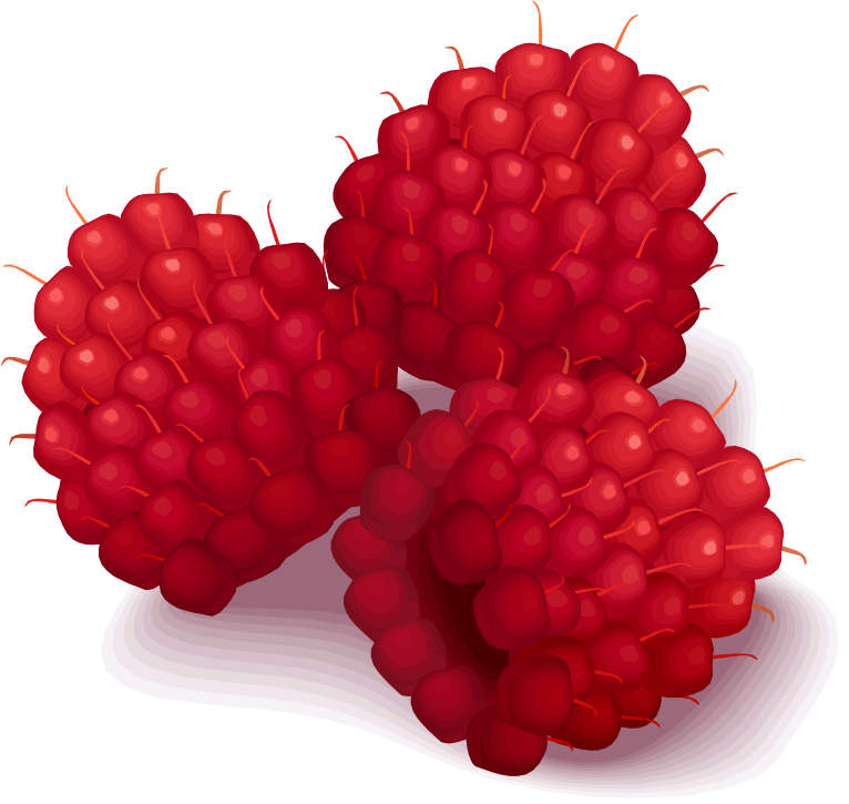 Fresh Raspberries Illustration PNG image
