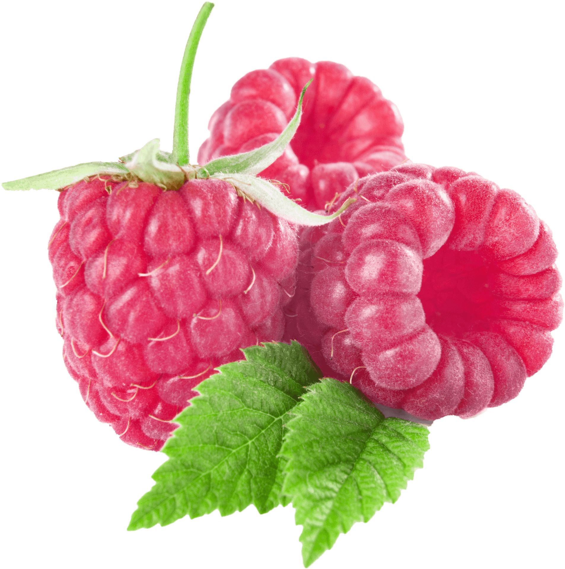 Fresh Raspberrieswith Leaves.png PNG image