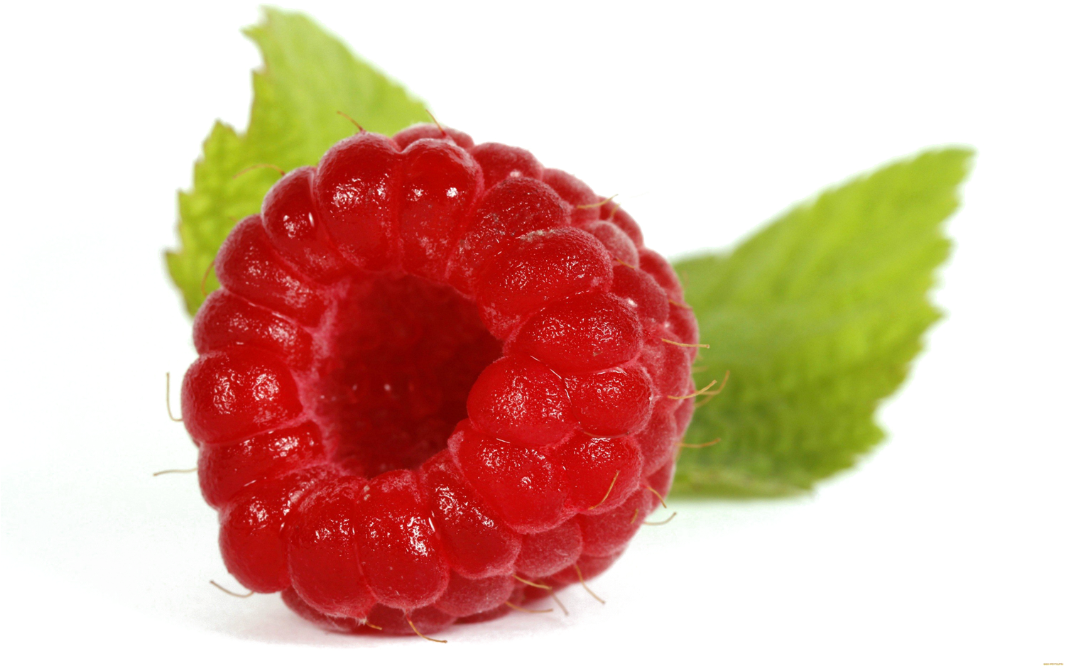 Fresh Raspberrywith Leaves.png PNG image