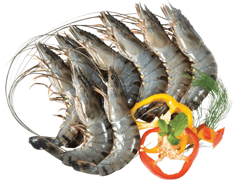 Fresh Raw Shrimp With Herbsand Spices PNG image