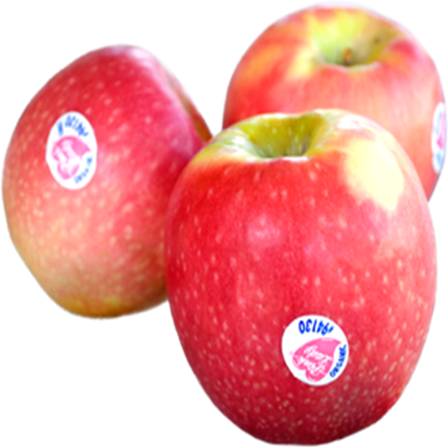 Fresh Red Apples With Stickers PNG image