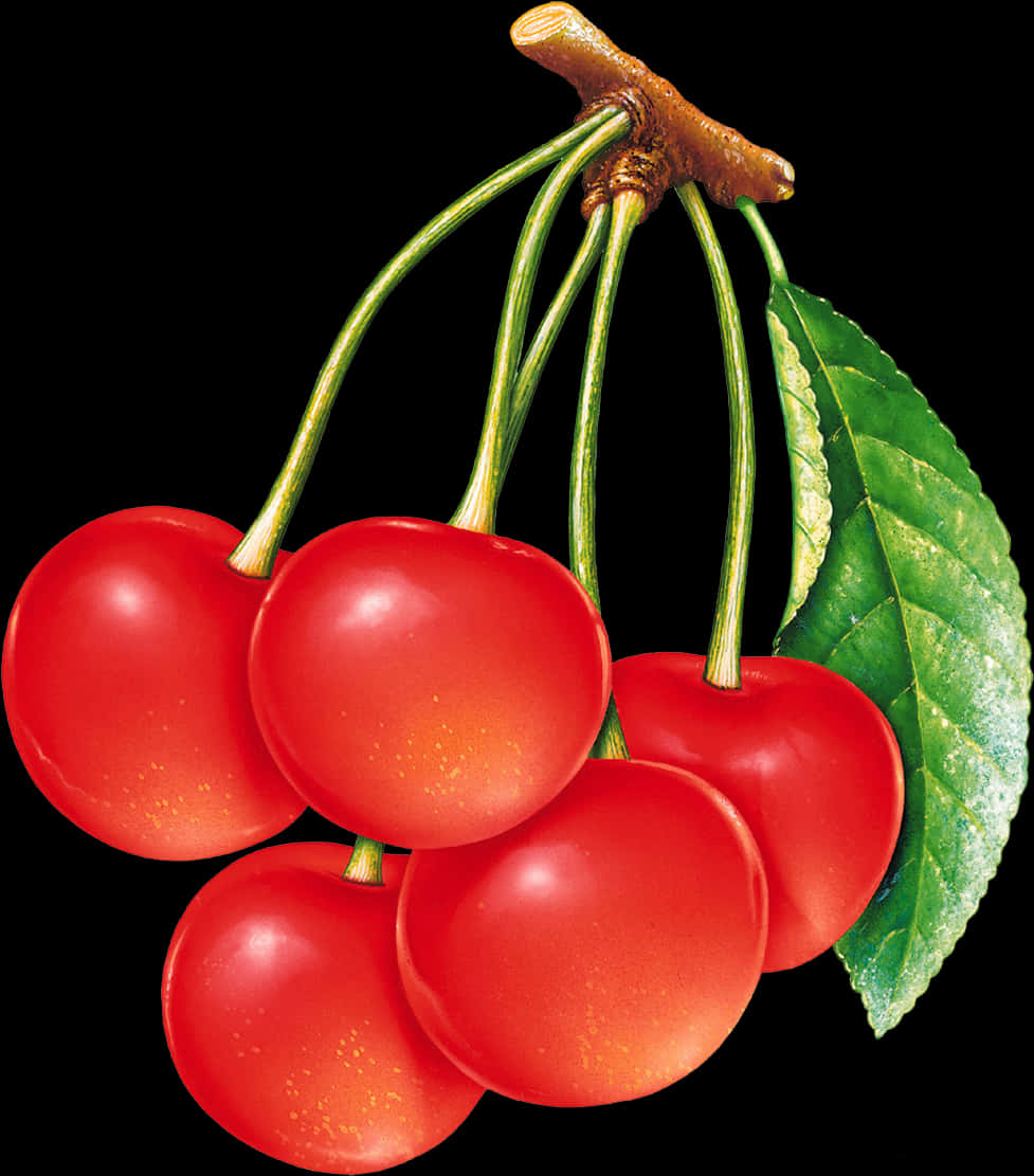 Fresh Red Cherrieswith Leaf PNG image