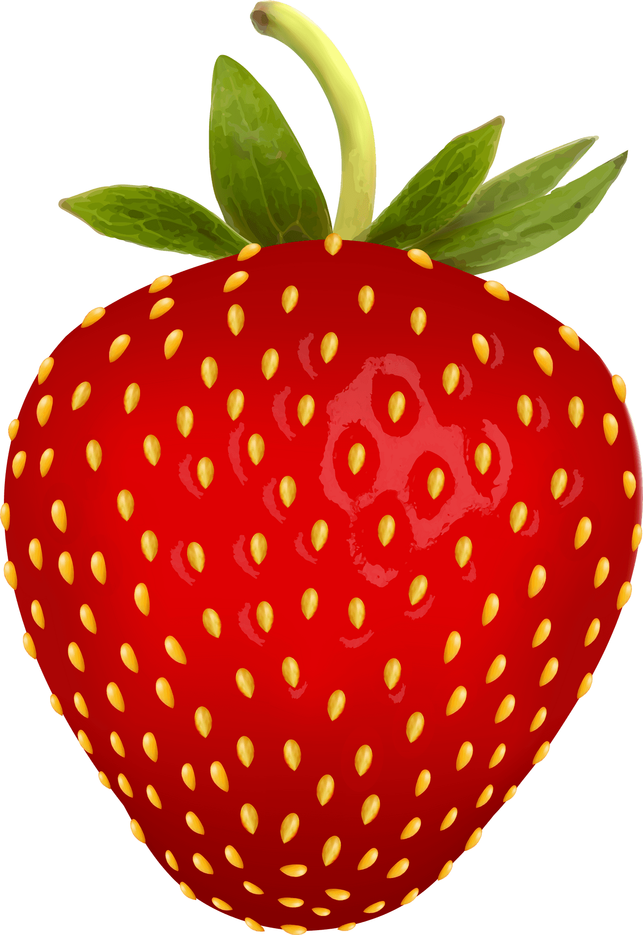 Fresh Red Strawberry Illustration.png PNG image
