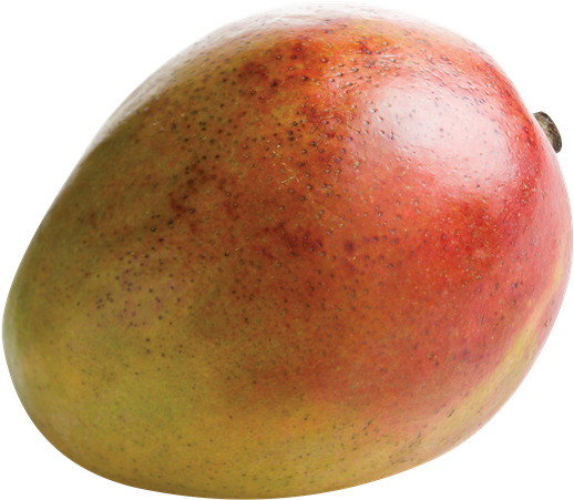 Fresh Ripe Mango Fruit PNG image