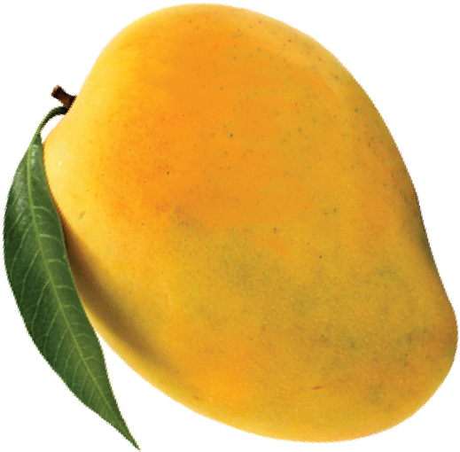 Fresh Ripe Mango With Leaf PNG image