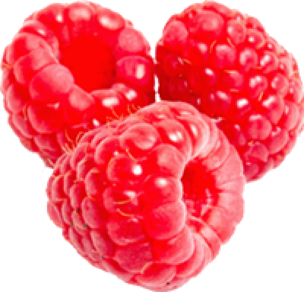 Fresh Ripe Raspberries Cluster.png PNG image