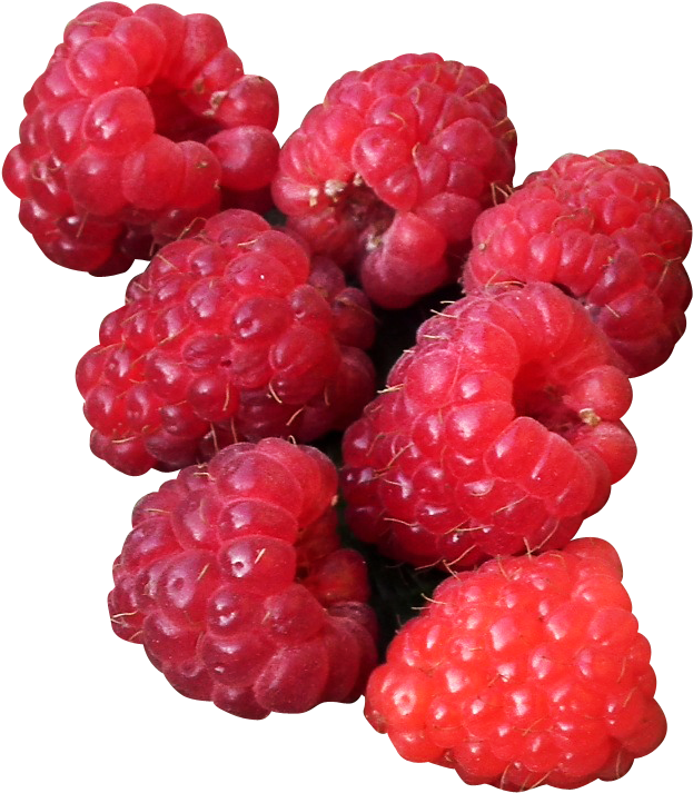 Fresh Ripe Raspberries Cluster PNG image