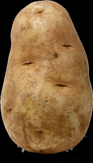 Fresh Single Potato Standing PNG image