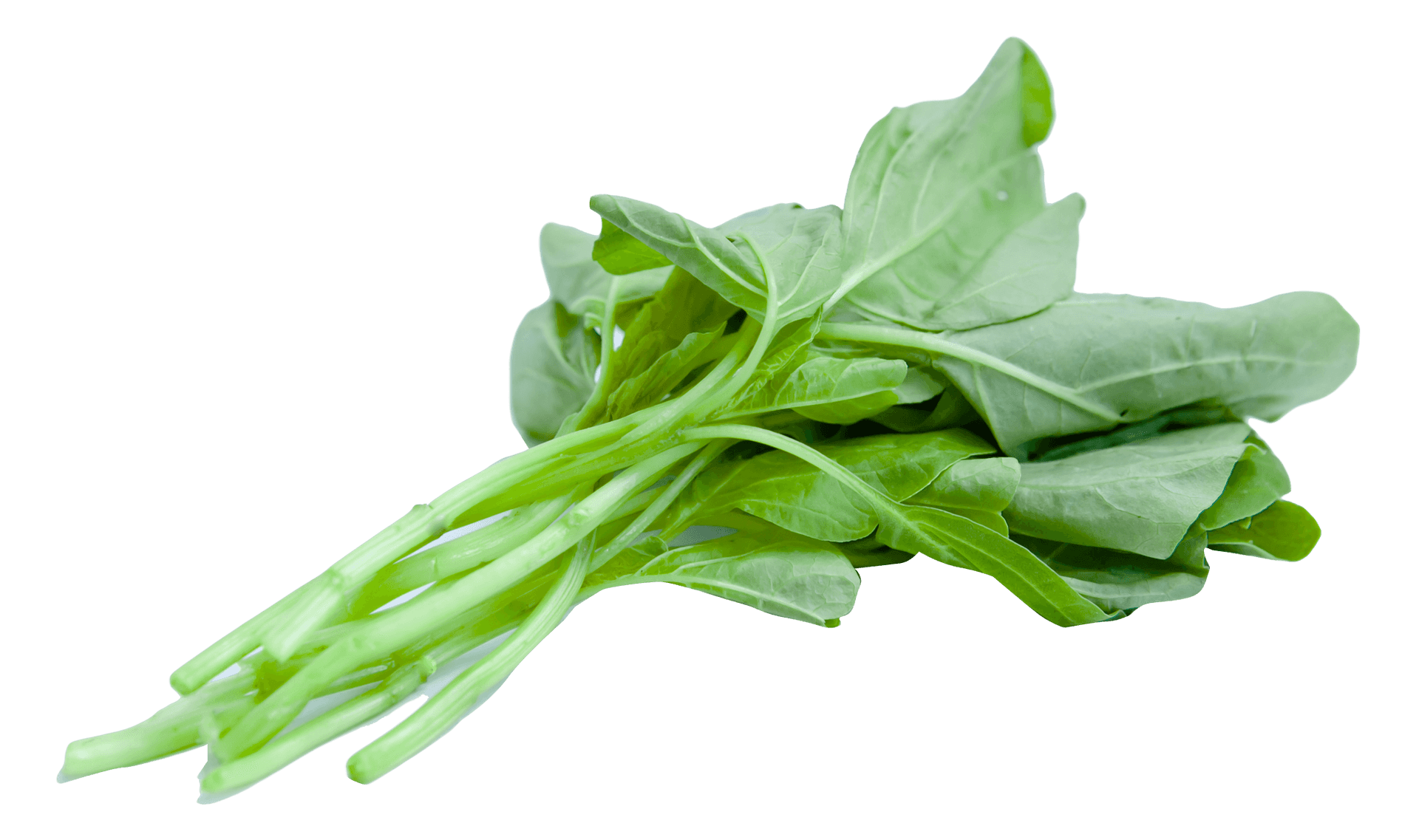 Fresh Spinach Leaves Isolated PNG image