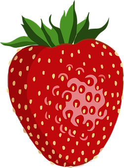 Fresh Strawberry Vector Illustration PNG image