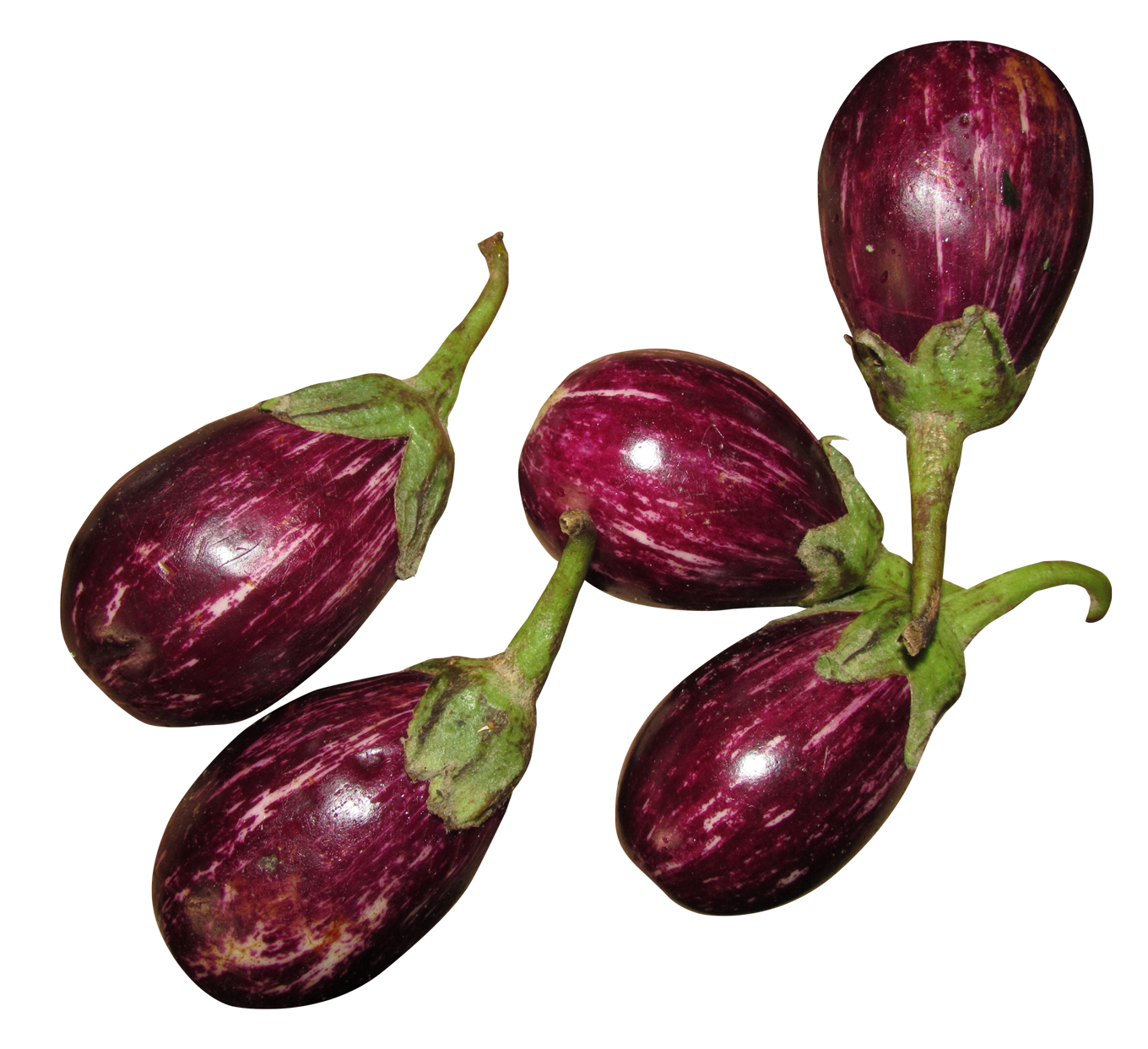 Fresh Striped Eggplants PNG image