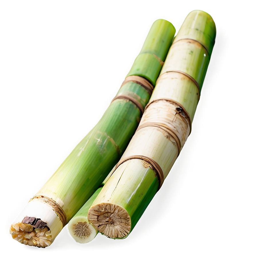 Fresh Sugarcane Png 35 PNG image