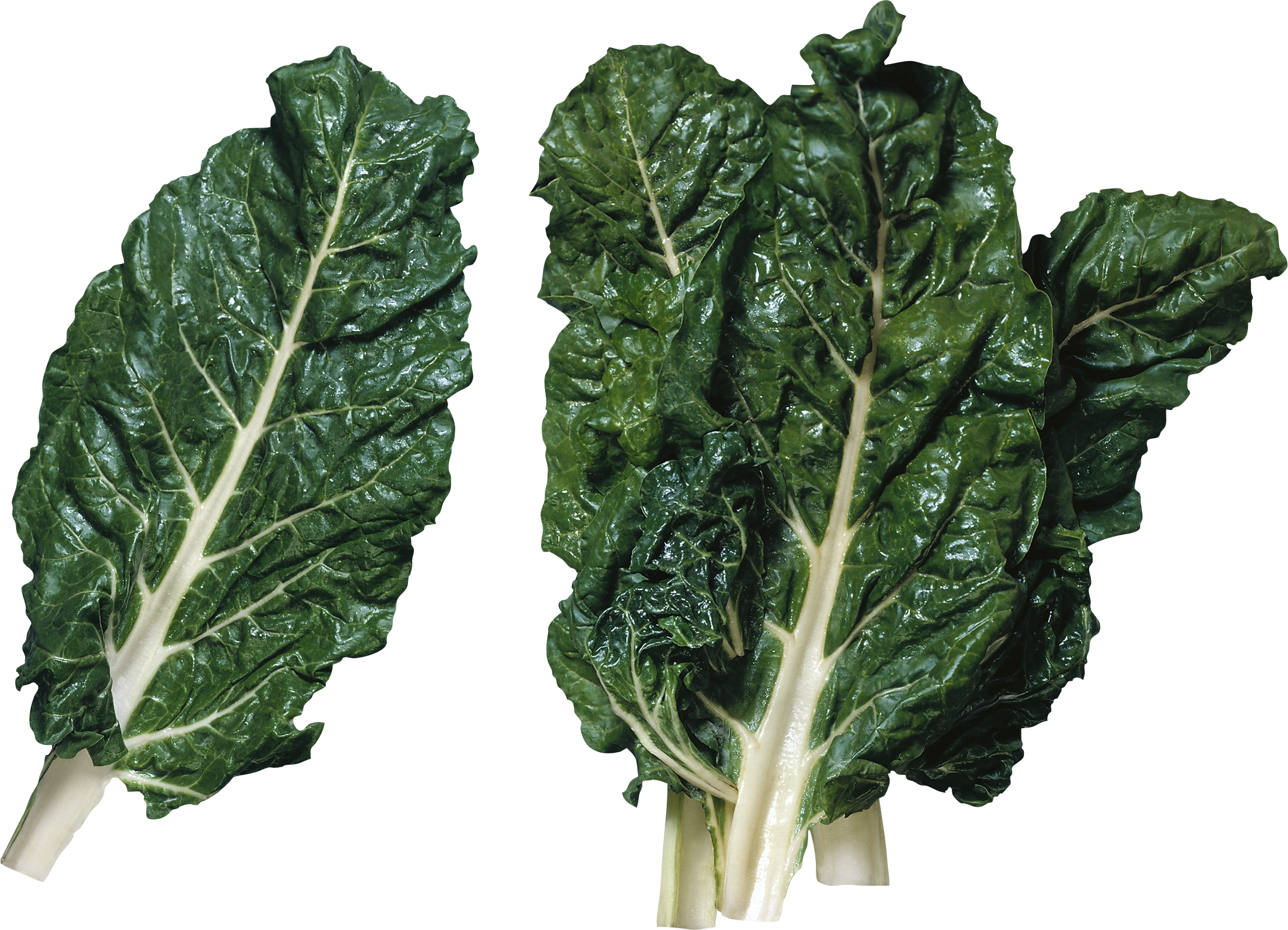 Fresh Swiss Chard Leaves PNG image