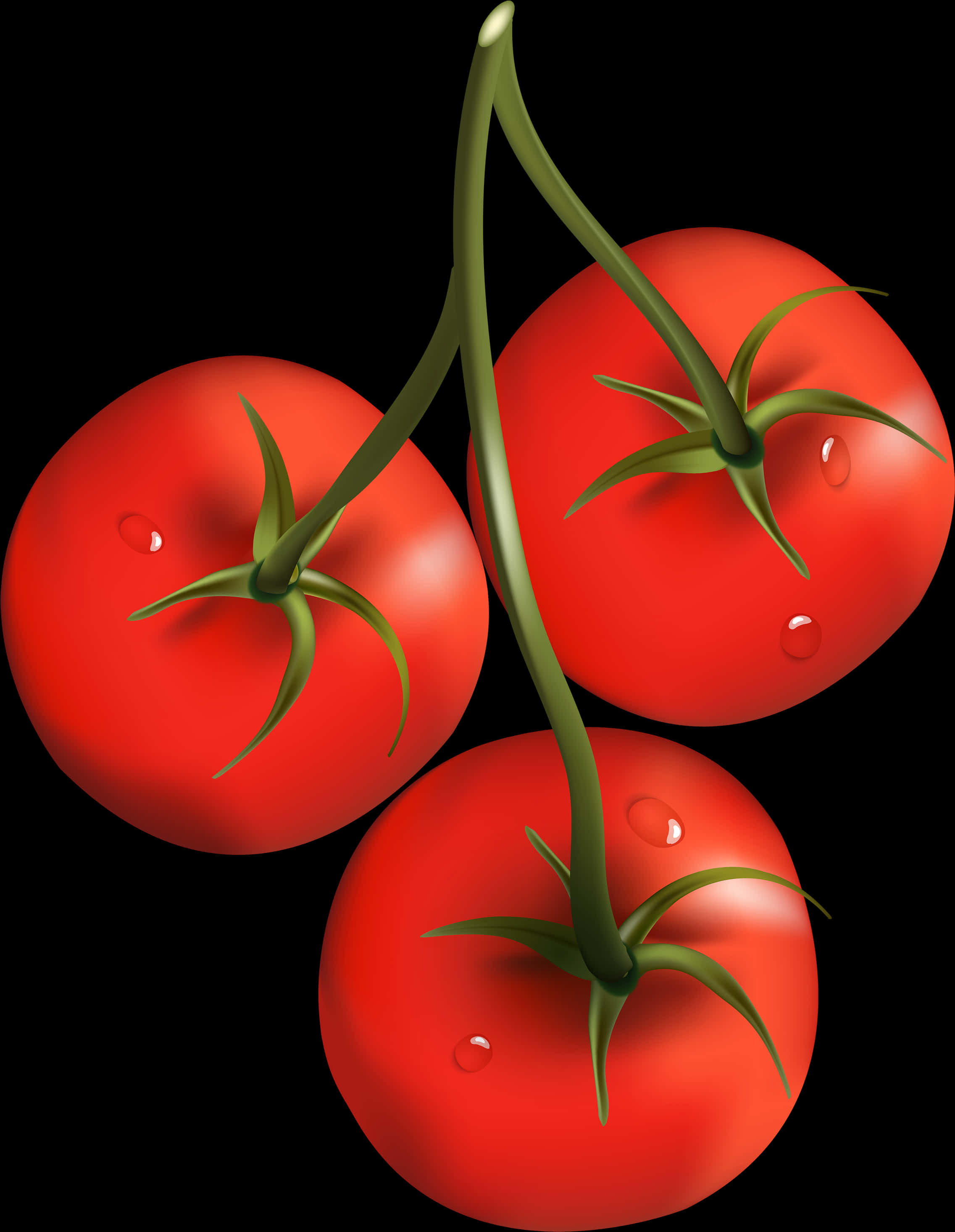 Fresh Tomatoeson Vine PNG image