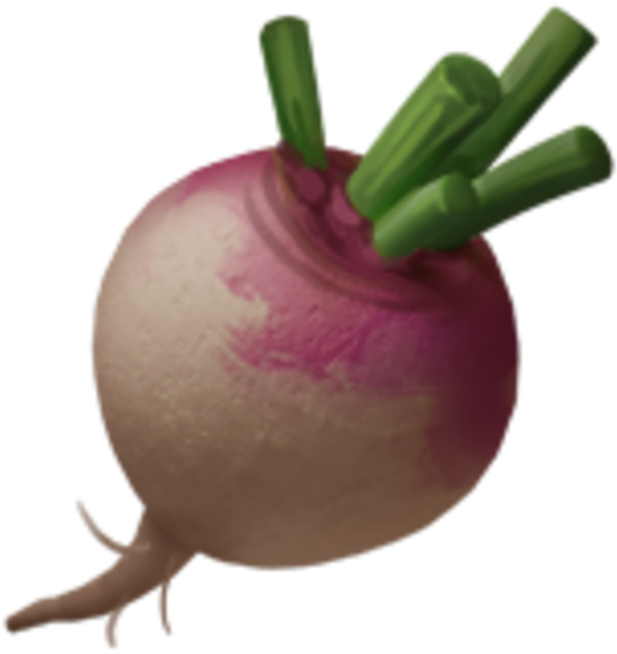 Fresh Turnip Isolated Background PNG image