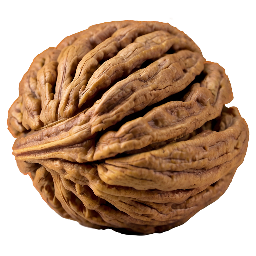 Fresh Walnut Png Gyt PNG image