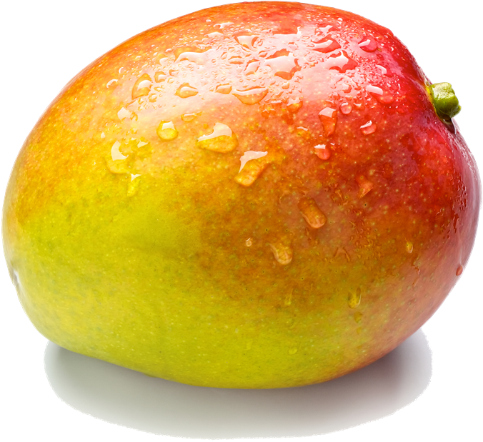 Fresh Water Dropletson Mango PNG image