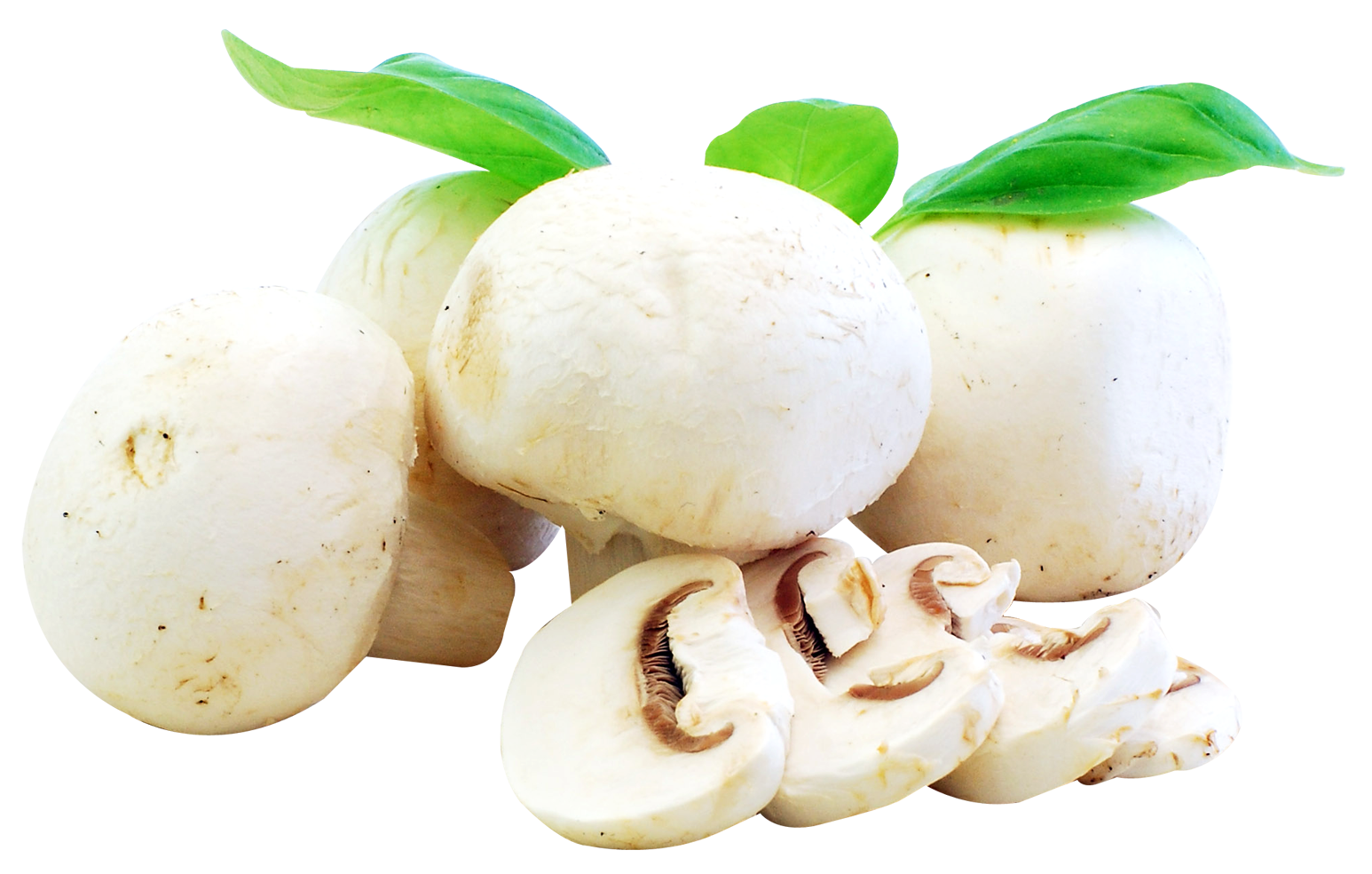 Fresh White Mushrooms Isolated PNG image