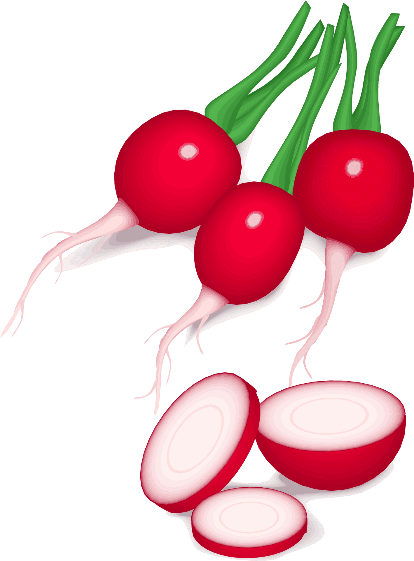 Fresh Wholeand Sliced Radishes PNG image