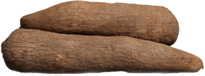 Fresh Yams Isolatedon Background PNG image