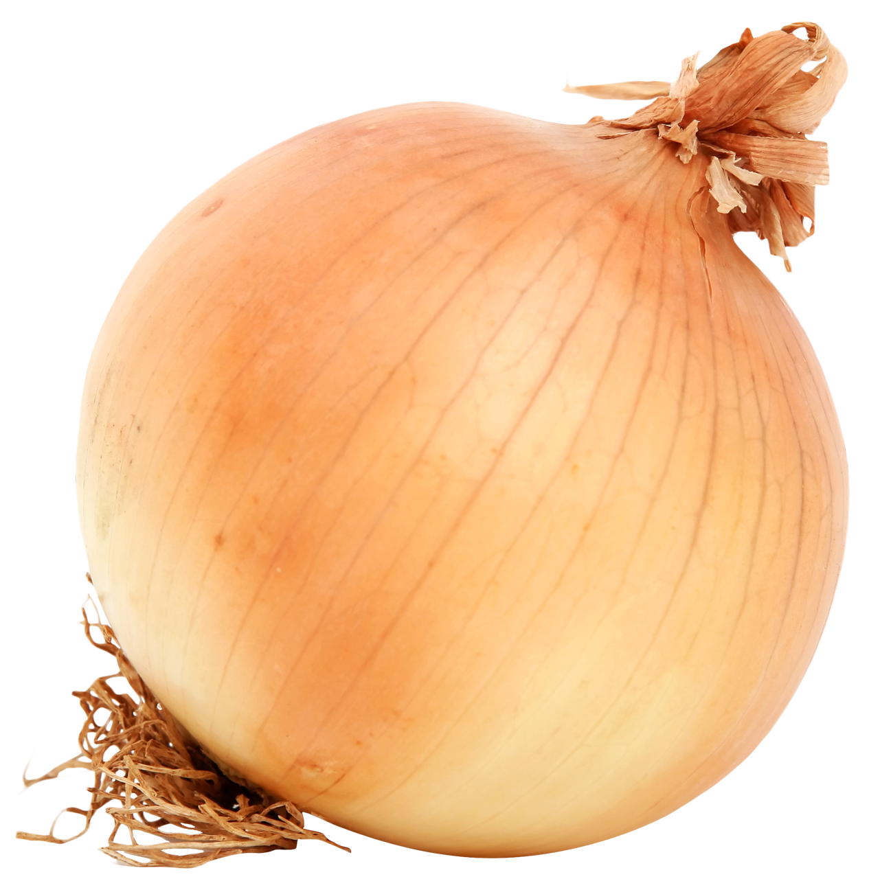 Fresh Yellow Onion PNG image
