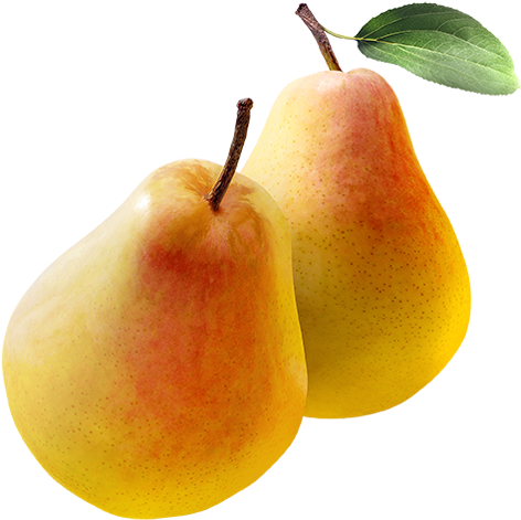 Fresh Yellow Pears With Leaf PNG image