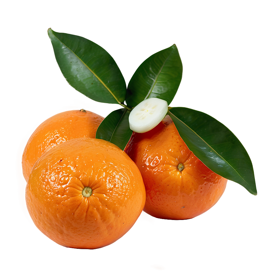 Freshly Picked Organic Oranges Png Ess45 PNG image