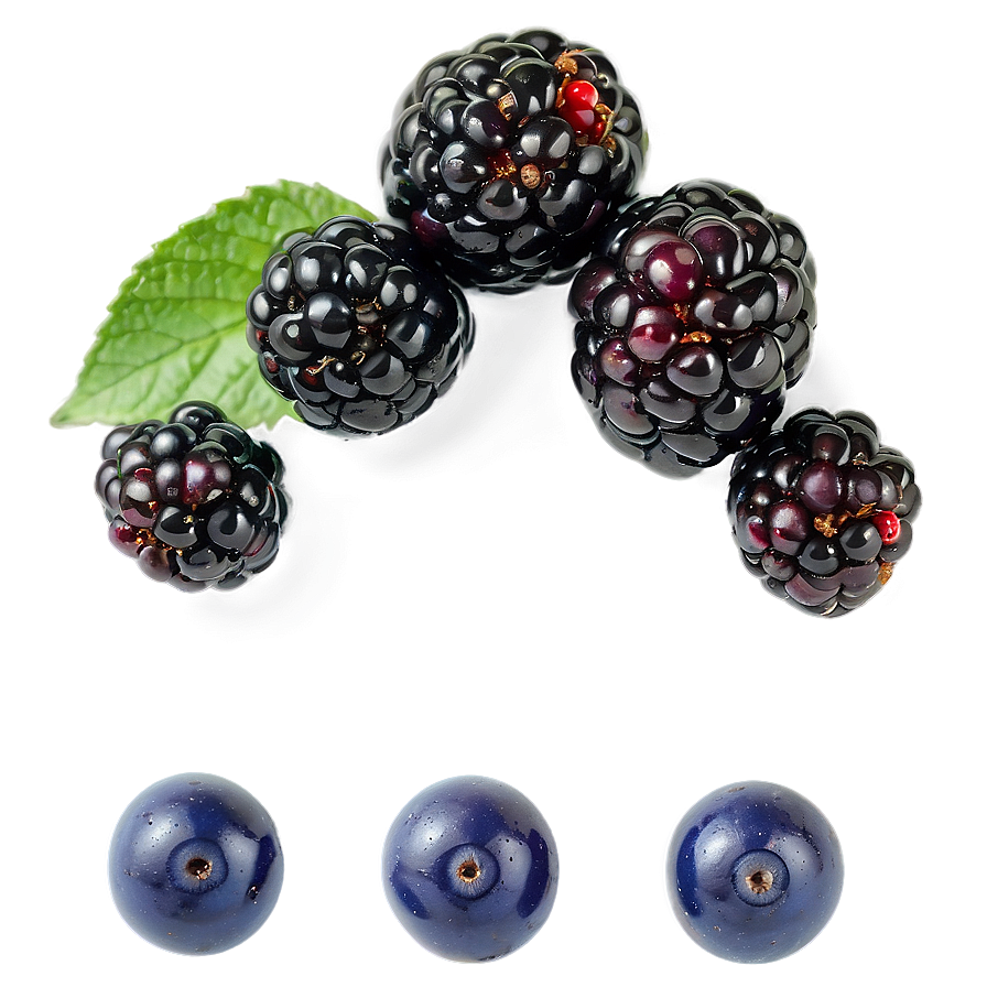 Freshly Washed Blackberry Png 05232024 PNG image