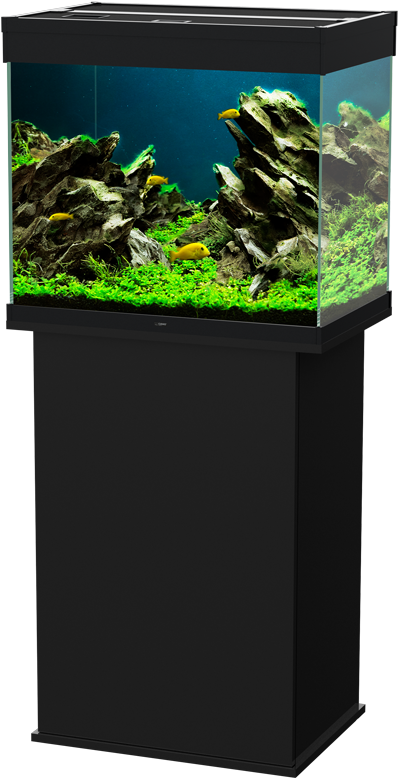 Freshwater Aquarium Setup PNG image