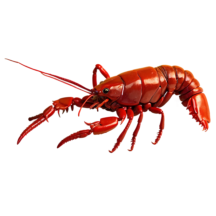 Freshwater Crawfish Close-up Png 23 PNG image