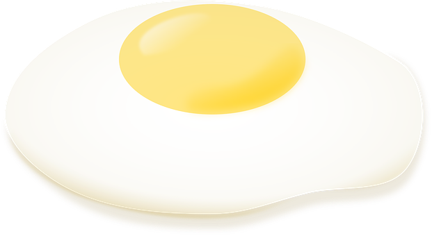 Fried Egg Vector Illustration PNG image