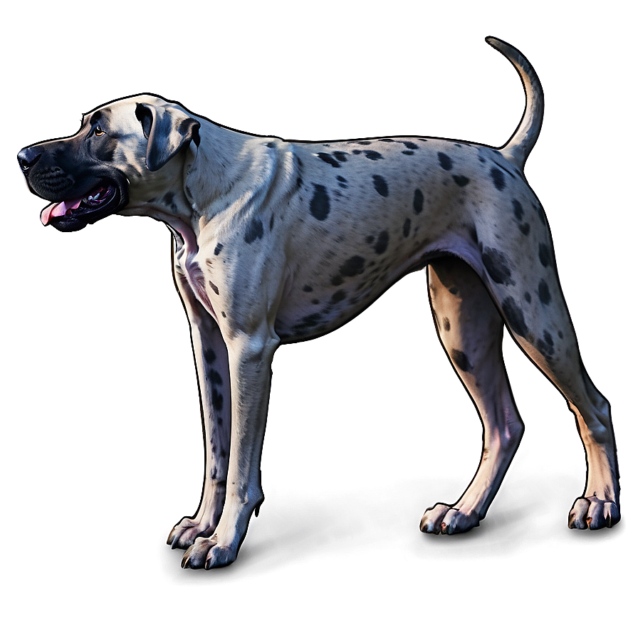 Friendly Great Dane Png 06212024 PNG image