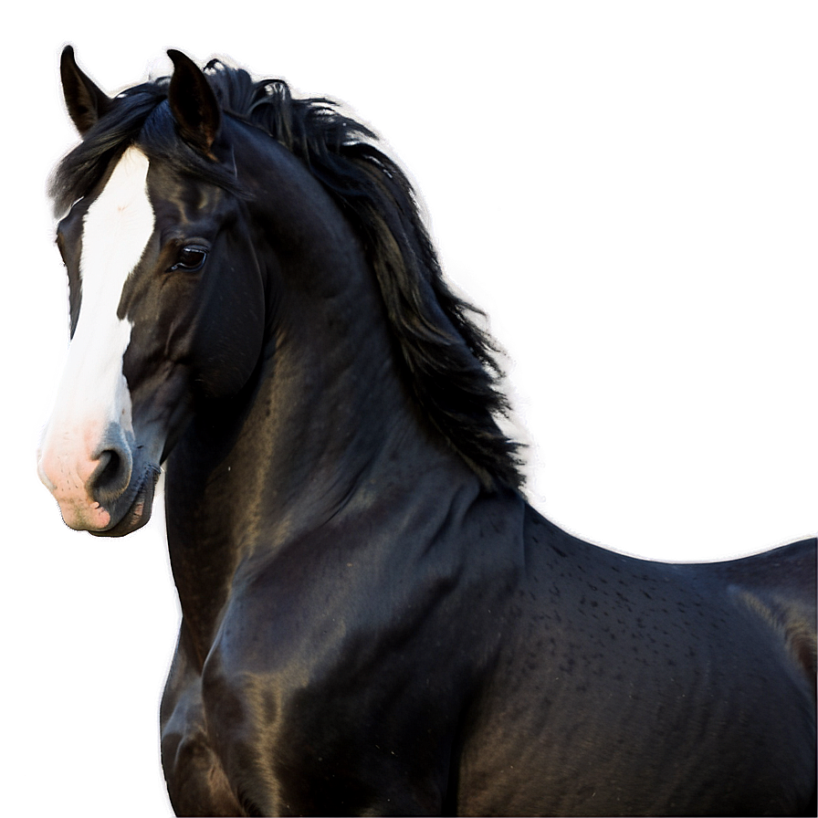 Friesian Horse Png 92 PNG image