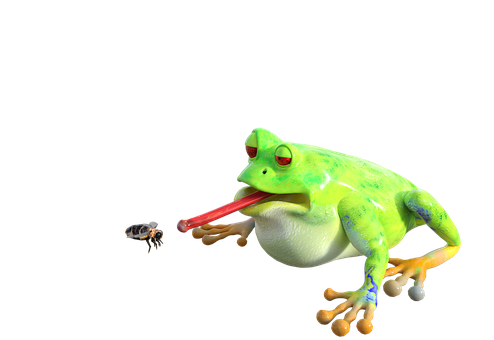 Frog Catching Bee PNG image