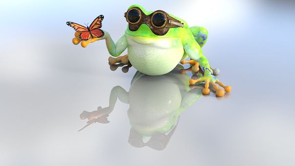 Frog With Goggles And Butterfly PNG image