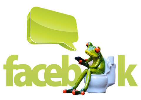 Frogon Toilet Facebook Parody PNG image