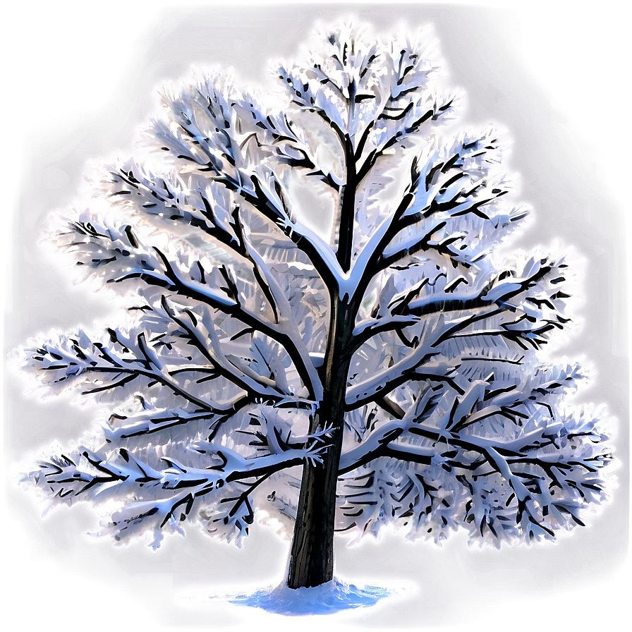 Frost Covered Snow Trees Png 3 PNG image