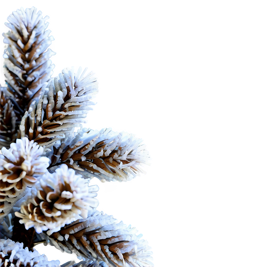 Frosted Tree Branch Png 05252024 PNG image