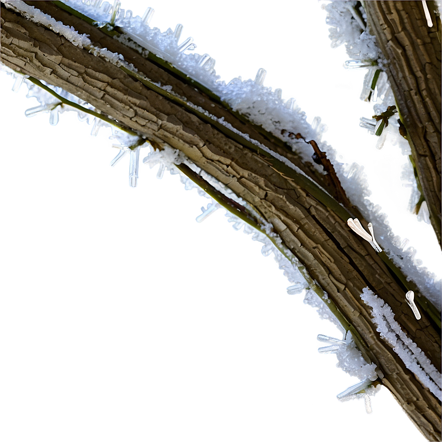 Frosted Tree Branch Png Ssc57 PNG image
