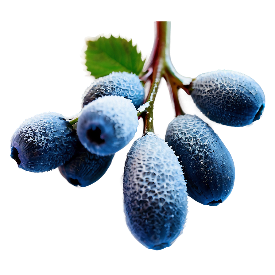 Frosty Winter Berries Png 06292024 PNG image