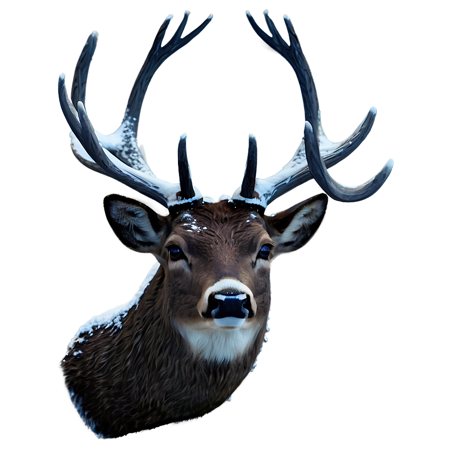 Frozen Deer Head Winter Theme Png 75 PNG image