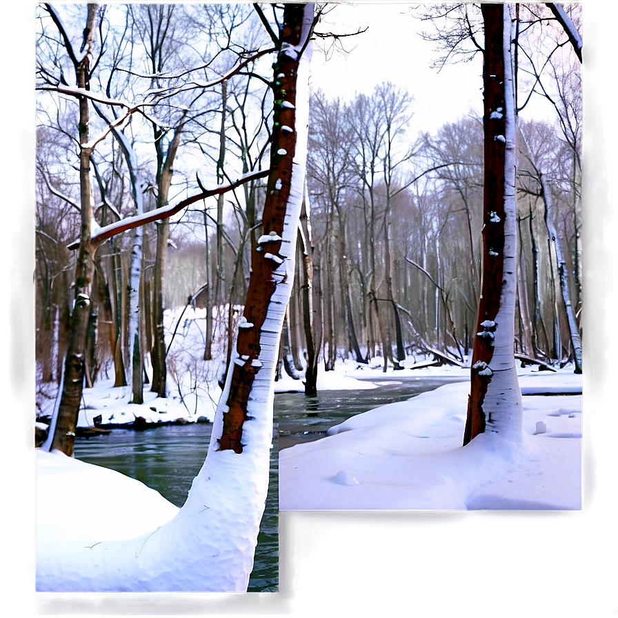 Frozen Forest River Png Fil PNG image