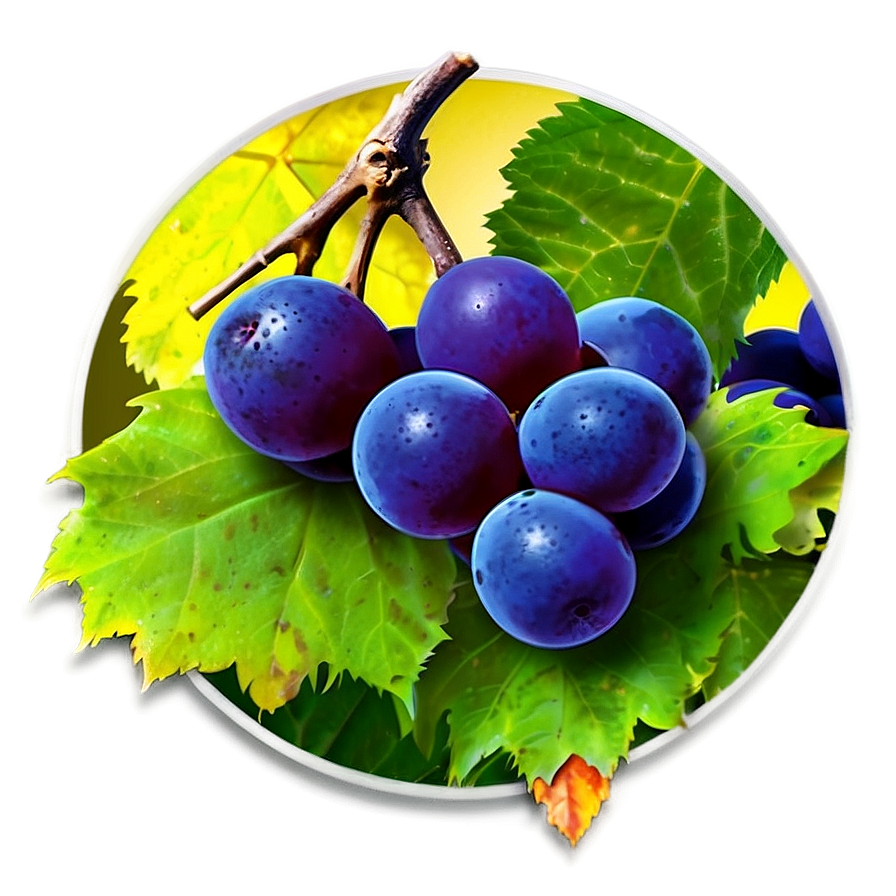 Frozen Grape Png Aeg22 PNG image