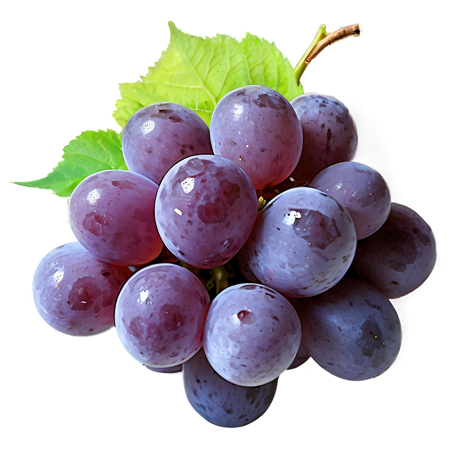 Frozen Grape Png Ubr12 PNG image