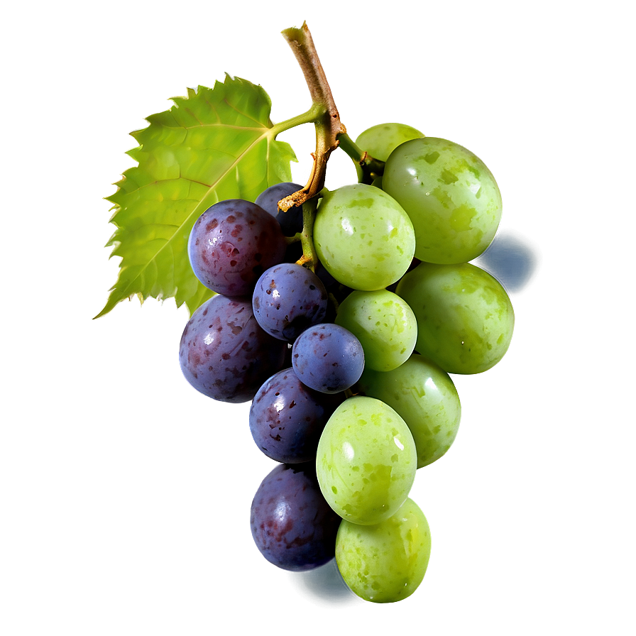 Frozen Grapes Png Gxa37 PNG image