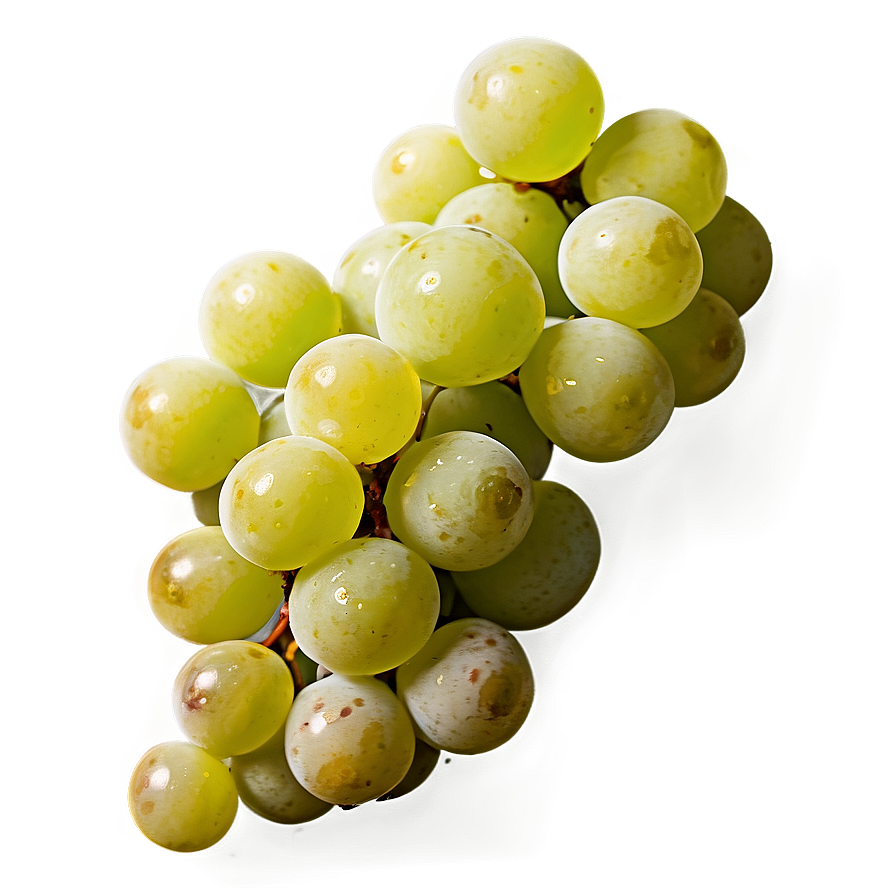 Frozen Grapes Png Qsf72 PNG image